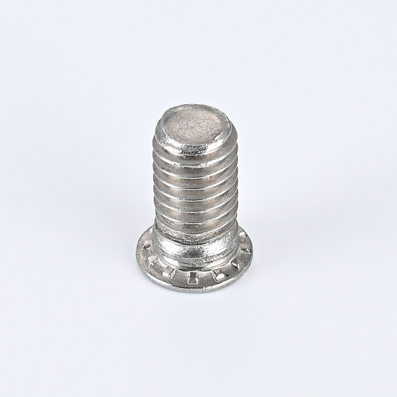 알루미늄 합금은 숨겨진 헤드 스레드 스터드
